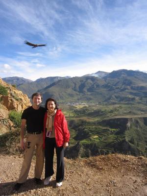 El vuelo del condor