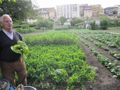 La huerta de Cipri