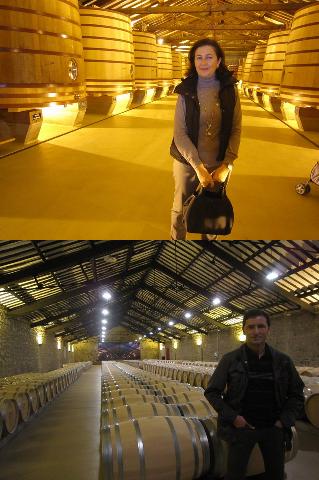 Dentro de la bodega