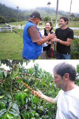La zona cafetera