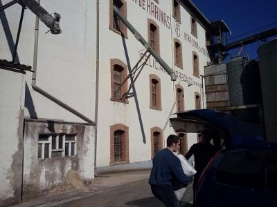 La harina de Ibernalo