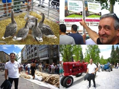 El dia de Santiago y nuestro nuevo ganadero