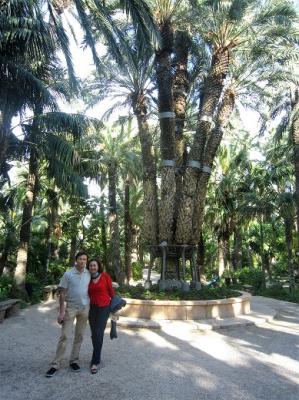 Huerto de palmeras