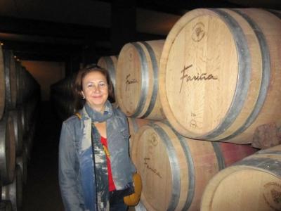 Tierra de vino y pan