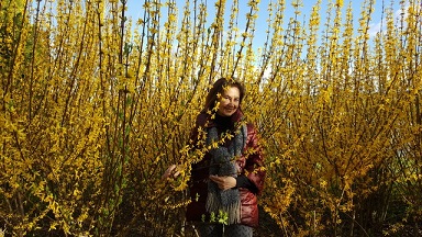 Con las forsythias