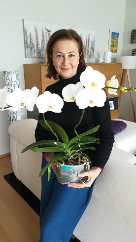 Doctora orquidea