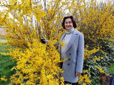 Que llega la primavera