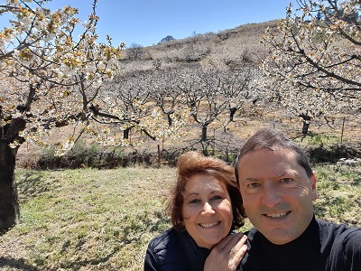 Envueltos en cerezos