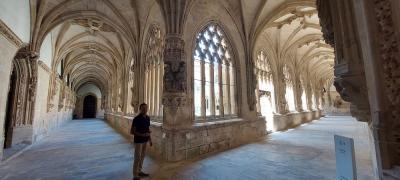 Claustro flamigero