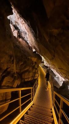 La cueva del león-tigre